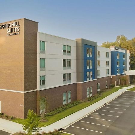 Springhill Suites By Marriott Charlotte Huntersville Ngoại thất bức ảnh